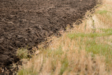 Agricultural field, arable land, plowed field, cultivation of land. Natural background