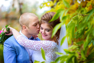 The groom kiss the bride in the autumn park. Happy newlyweds pose at a yellow tree