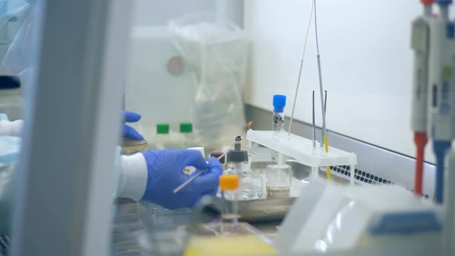 A person working with laboratory equipment. Doping test concept.