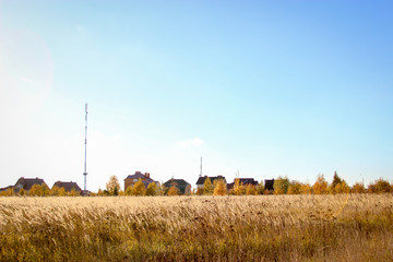 landscape with field and buildings
