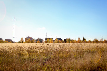landscape with field and buildings