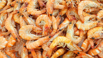Fresh shrimp on the market