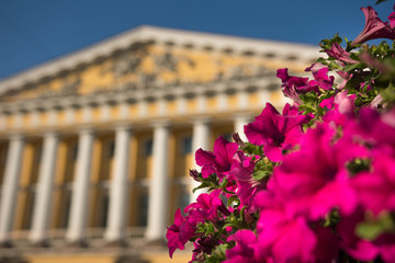 Pink flowers in a garden out the front of a church