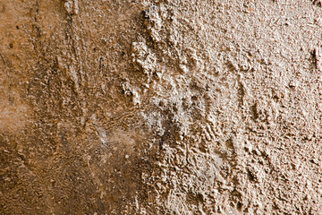 Rough surface of dirty wet sand