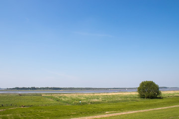 Aussicht auf die Elbe