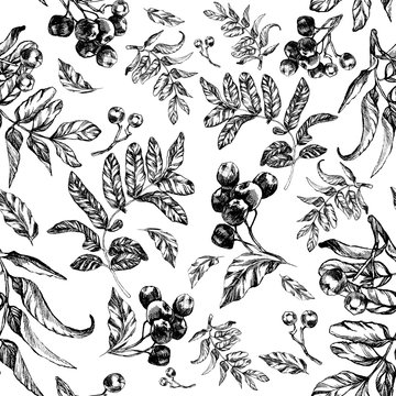seamless pattern of rowan berries and leaves