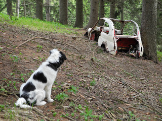 Begegnung . Encounter © LitterART