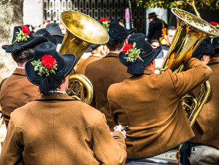 part of a typical bavarian brass instrument