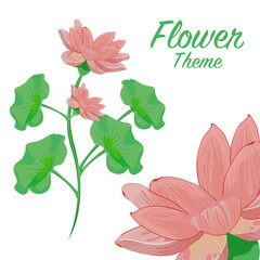 Beautiful Pink Flower