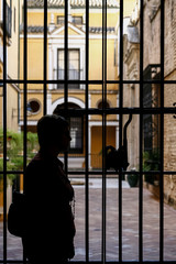 Silhouette of woman with garden background