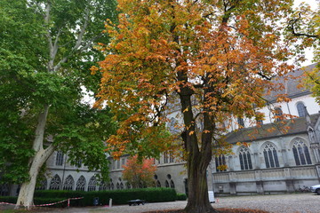 Herbststimmung Konstanzer Münster