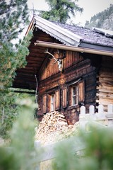 Mountain Cabin 