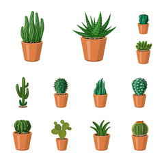 Isolated object of cactus and pot symbol. Collection of cactus and cacti stock symbol for web.