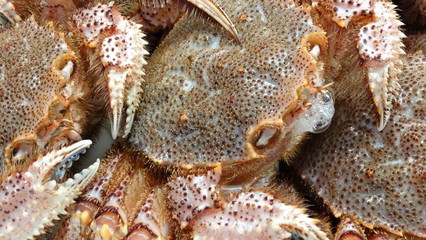 Crabs