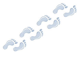 footprints, wet foot trail