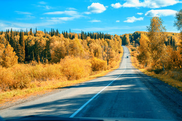 Obraz premium Autumn on the road. Altai. Kazakhstan.