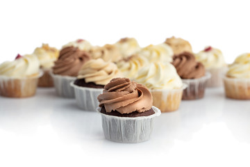 Chocolate muffin and bunch of muffins