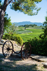 Fototapeta na wymiar paysage Drome provençale