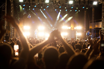 crowd at concert
