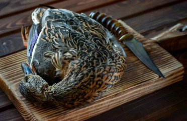 Killed duck before cooking.