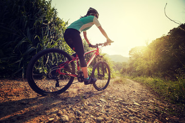 Fototapeta na wymiar Woman cyclist riding mountain bike on rocky trail at sunny day