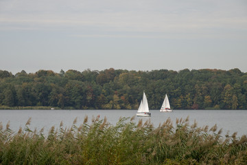 sailboat
