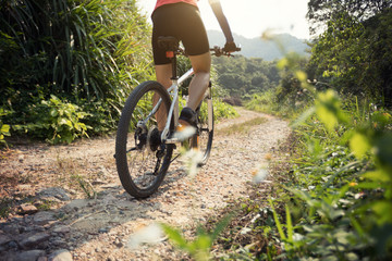 Woman cyclist riding mountain bike on rocky trail at sunny day