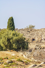 Obraz premium Antiquity