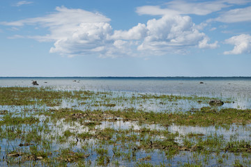 Sea shore in beautiful Kassari island in Estonia.