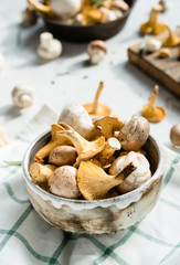 Verschiedene Pilze in einer gusseisernen Pfanne Pfifferlinge Champignons und Rosmarin in der Zubereitung am Stück und geschnitten auf hellem Untergrund bei Tageslicht von vorne fotografiert