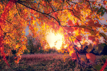 Fototapeta na wymiar Autumn colors from Sotkamo, Finland.