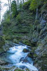 Vintgar Canyon, Slovenia