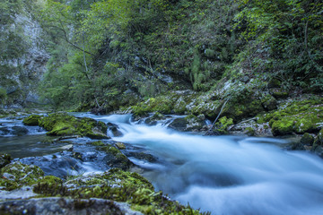 Vintgar Canyon, Slovenia