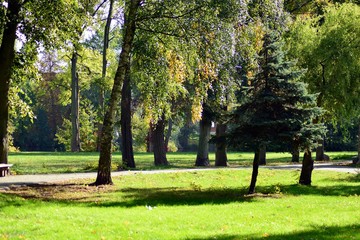 Beautiful park in the medieval city