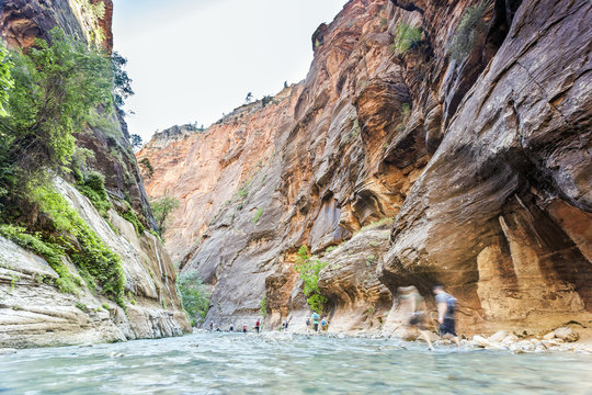 Deep canyon with river in Zion National Park, USA