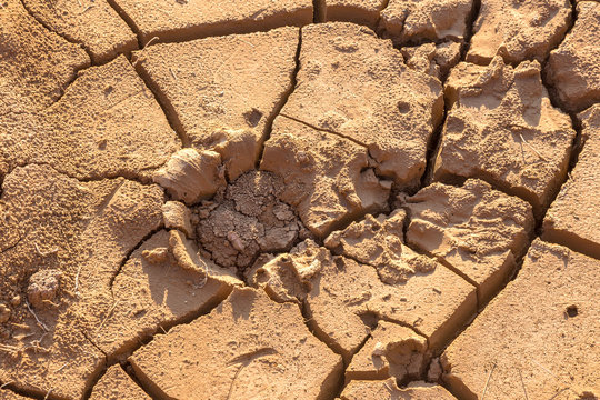 Drought. Dry bottom of the lake. Dead dry land from drought. Dry fissured drought soil. The concept of drought, climate change, death without moisture. Ecology. Catastrophe. Mysticism cracked
