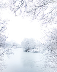 winter landscape with trees