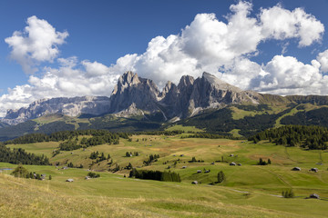 Fototapeta na wymiar Auf der Seiser Alm in Südtirol, Italien