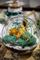 Obraz na płótnie Canvas Small cactus succulents in glass terrarium.