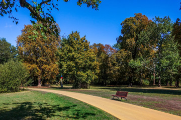 Park im Herbst