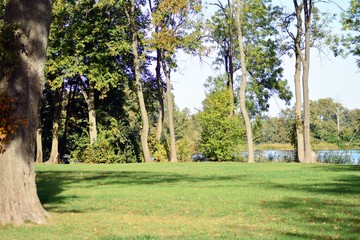 Beautiful park in the medieval city