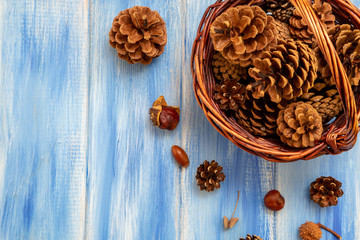 Brown cones on a blue background. New Year, Christmas and autumn background. Natural country style. Minimalism