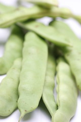 有機栽培のいんげん豆