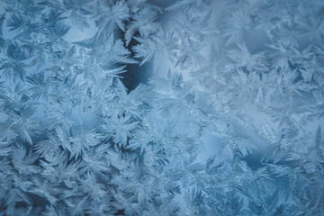 frozen Windows in winter