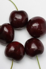 採れたてのさくらんぼ