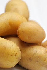 採れたてのジャガイモ