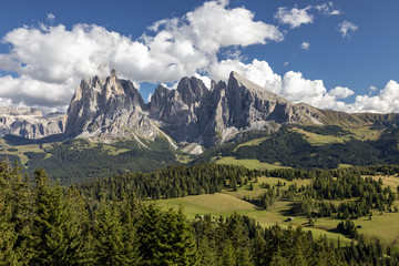 Fototapeta premium Auf der Seiser Alm in Südtirol, Italien