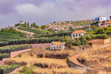Naklejka na ściany i meble Madeira, Funchal, 