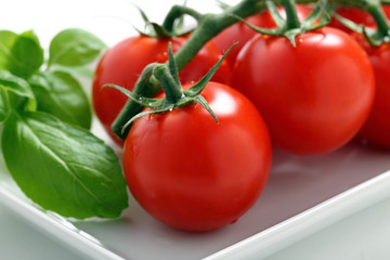 pomodori freschi su sfondo bianco