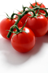 pomodori freschi su sfondo bianco